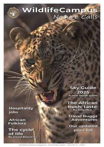 WildlifeCampus Magazine November 2024