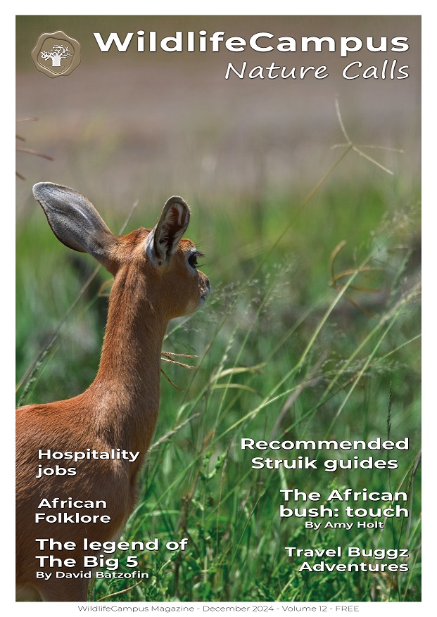 WildlifeCampus Magazine December 2024