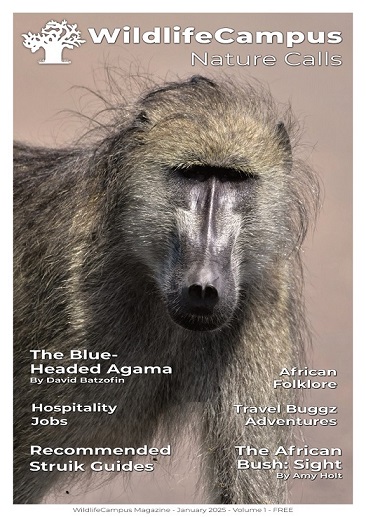 WildlifeCampus Magazine January 2025