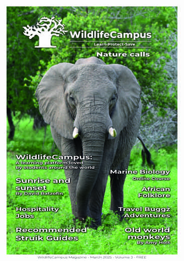 WildlifeCampus Magazine March 2025