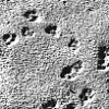 Component