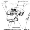 Component