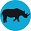 Rhino Poaching