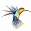 Introduction to birds and flight