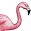 The biology, ecology and identification of birds