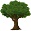 Botany