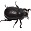 Invertebrates