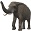 Mammals