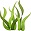 Marine Plants