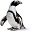 Marine Wildlife Part # 4