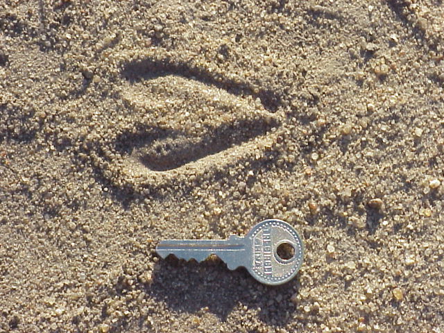 Component