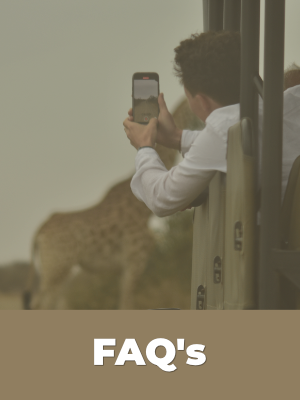 FAQ's