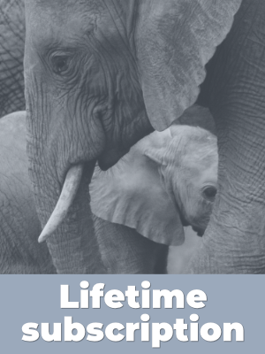 Lifetime Subscription