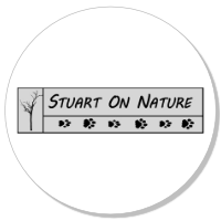 Stuart On Nature