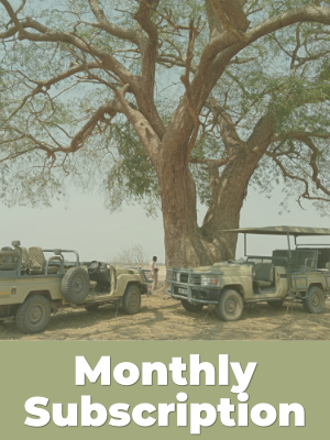 Monthly Subscription
