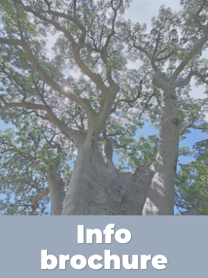 Info Brochure