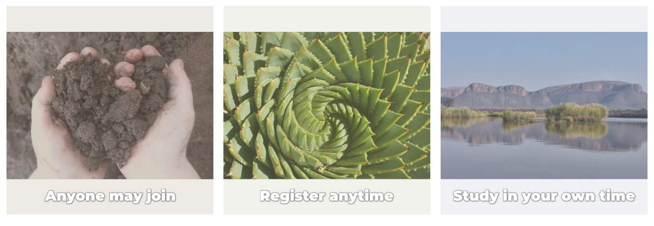 Online Courses