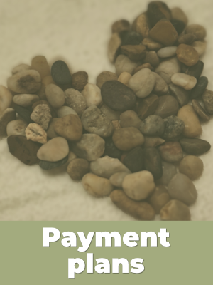 Payment Options for Online Courses