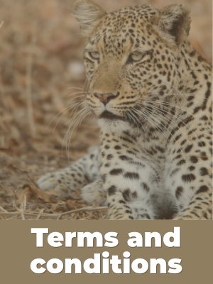 Terms and Conditions